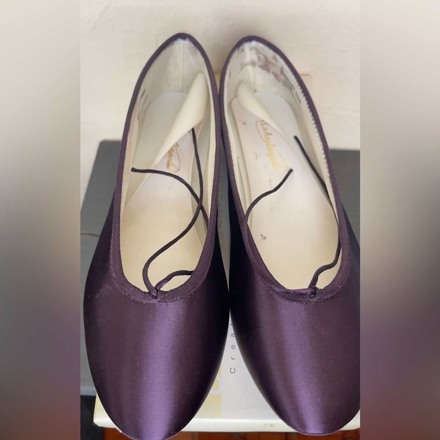 David’s Bridal Ballet Shoes