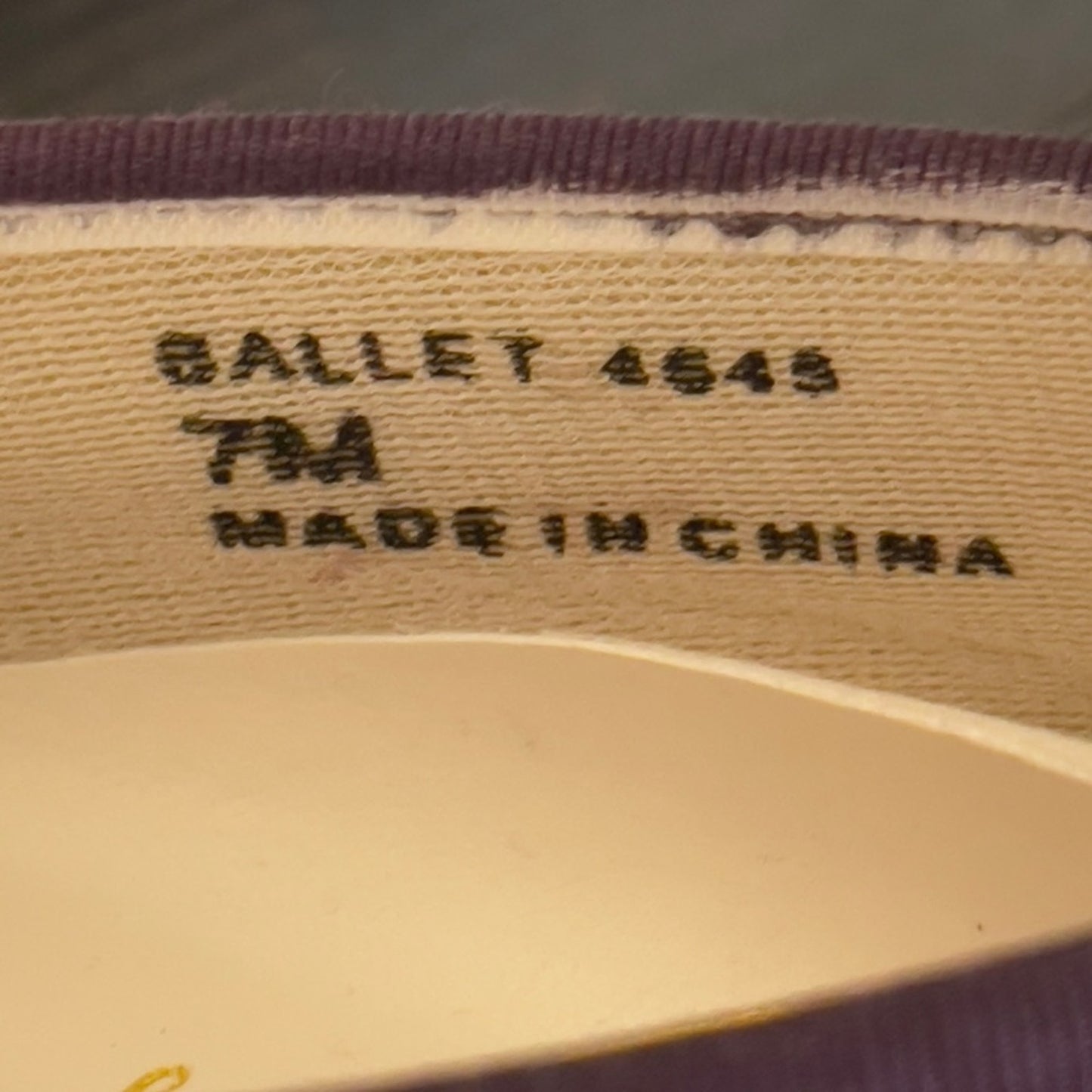 David’s Bridal Ballet Shoes