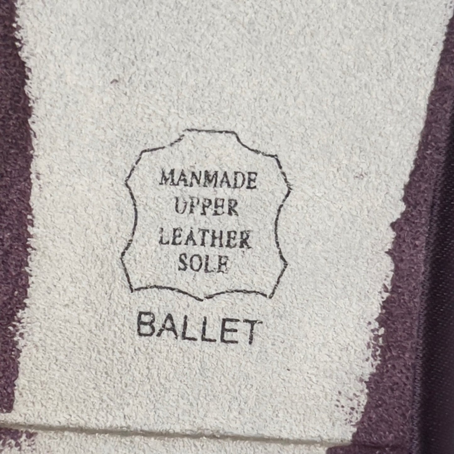 David’s Bridal Ballet Shoes