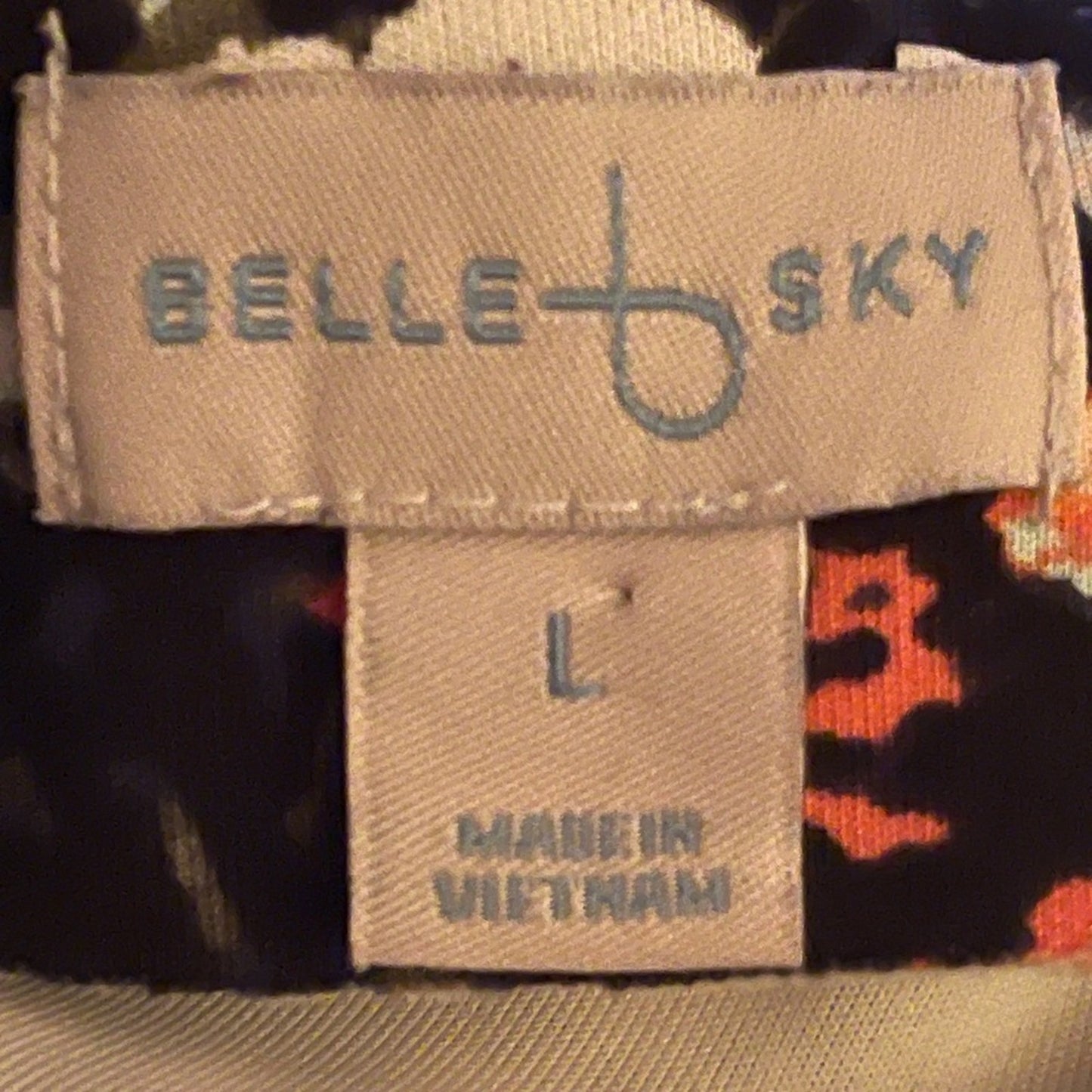 Belle & Sky Black Floral V-Neck Dress